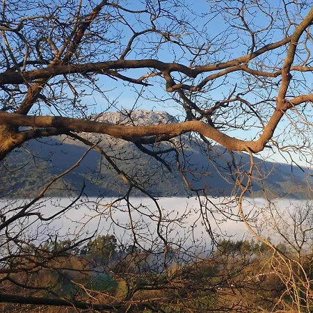 Casamentera * Mentera Barruelo